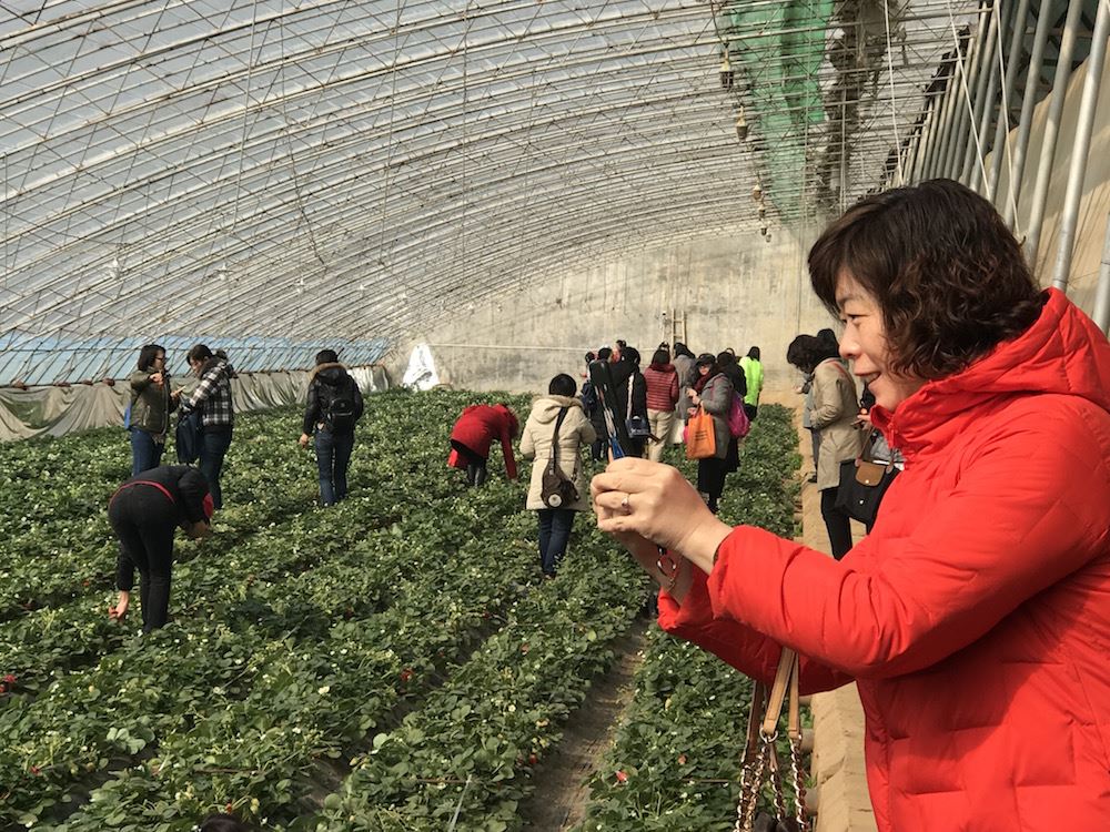 美狮贵宾会·(中国区)官方网站集团有限公司内容图片展示